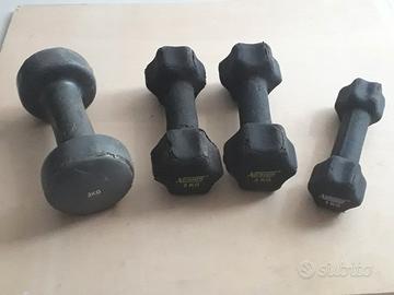 4   manubri pesi fitness