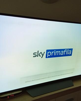 TV Smart LG OLED 55 B8 Pla