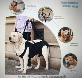 Imbracatura di supporto per cani 