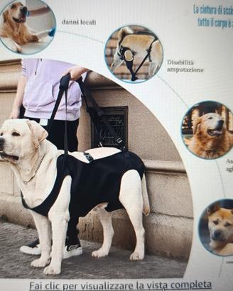 Imbracatura di supporto per cani 
