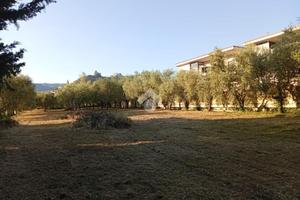 TER. RESIDENZIALE A MONTESARCHIO