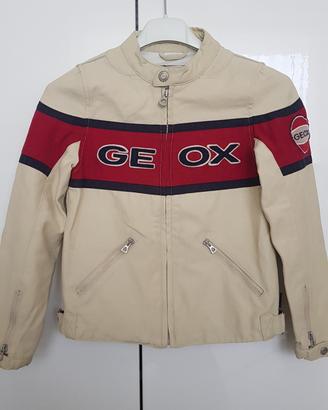 Giubbino "Geox Respira" anni 6
