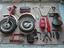 Immagine 6