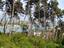 Immagine 8