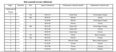 115000 mq di uliveto a Vallefiorita