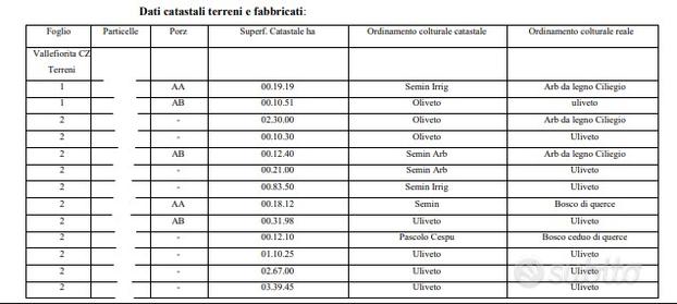 115000 mq di uliveto a Vallefiorita