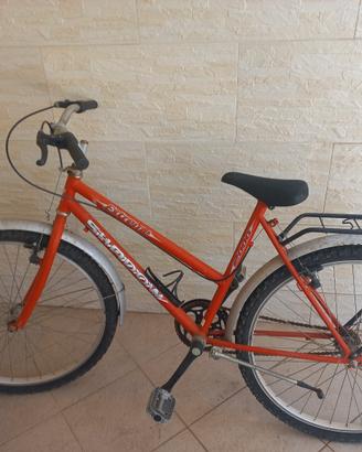 bicicletta 
