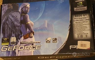  GEFORCE 8600 GT PNY  Nvidia scheda grafica