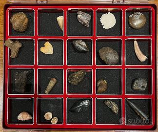 Reperti Da Collezionismo