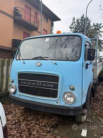 Lupetto 25 - cassonato blu