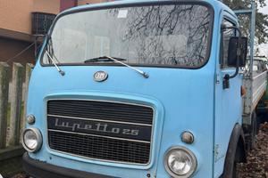 Lupetto 25 - cassonato blu