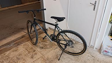 Bicicletta Cascella