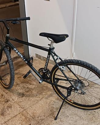 Bicicletta Cascella