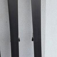 Sci Head WORLD CUP I.SL RD 165