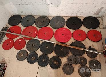 palestra pesi