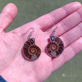 Orecchini Ammonite Fossile - Conchiglia Naturale
