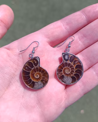 Orecchini Ammonite Fossile - Conchiglia Naturale