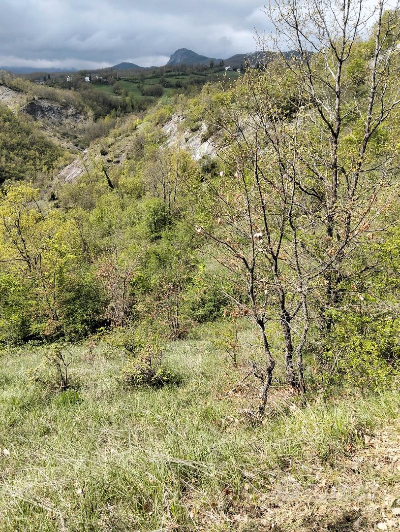 Capanno di caccia con terreno - Vista 4