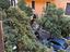 Immagine 14