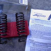 molle varie showa ant e post