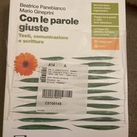 Con le parole giuste