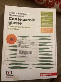 Con le parole giuste