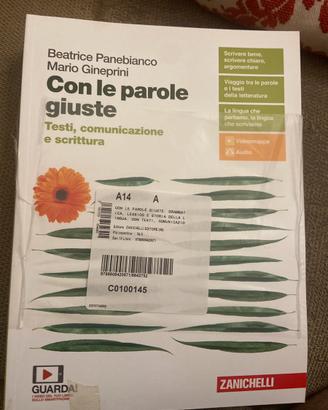 Con le parole giuste