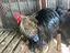 Immagine 3