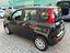Immagine 5