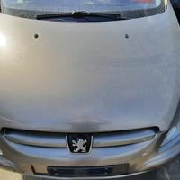 PEUGEOT 307 STATION WAGON - COFANO ANTERIORE