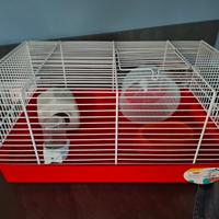 gabbia per criceti