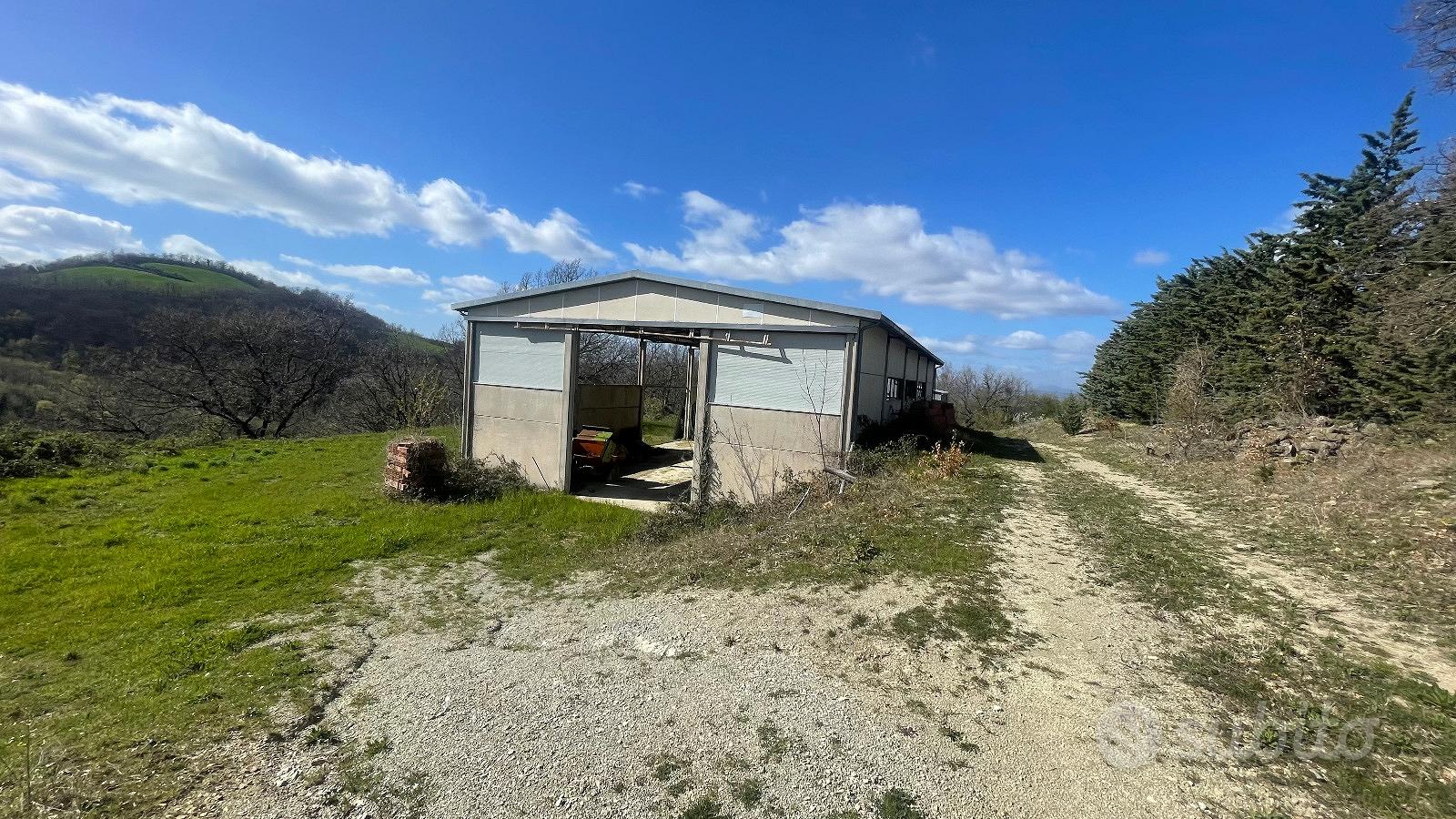 Azienda agricola di 62 Ha con casale e stalla - Altro