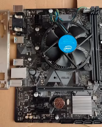 Scheda madre ASUS B360M-K + G5400