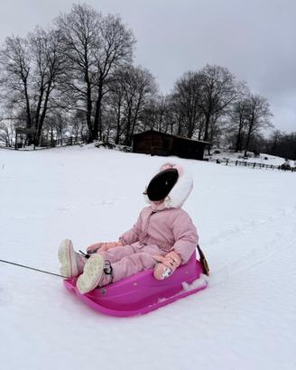 Slittino neve bob