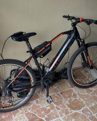 Bici