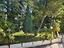 Immagine 29