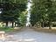 Immagine 14