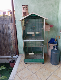 Voliera, calopsite, diamantini