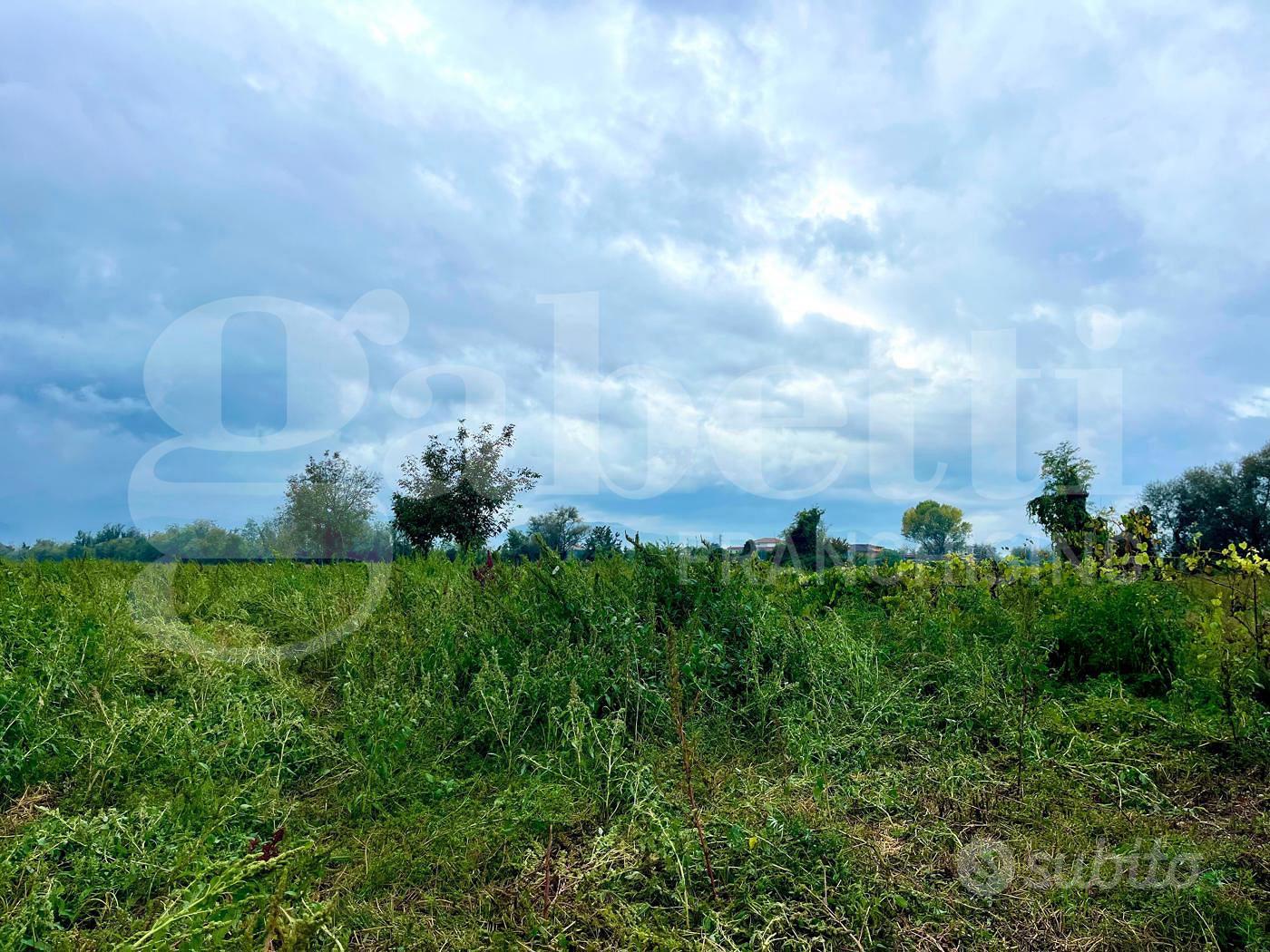 Rustico/Casale/Corte Alife [Cod. rif 3277102VRG] - Vista 6