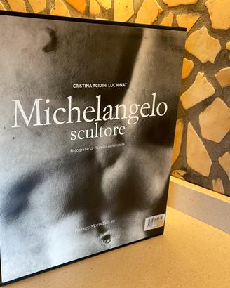 Libro d’arte Michelangelo scultore