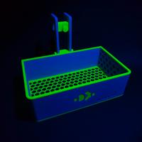 Box coralli acquario marino