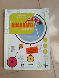 Al quadrato - Algebra, Geometria 3, Quaderno plus 