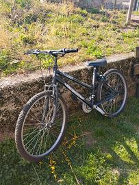 bici 26'