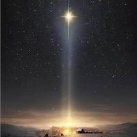 Badante ,Colf , Scafalista