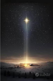 Badante ,Colf , Scafalista