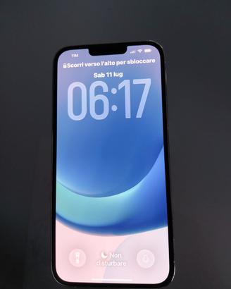 Iphone 13 Pro Max 512 Silver  tenuto perfettamente