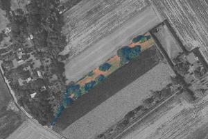 Terreno agricolo (Seminativo Arborato) di 2016 mq