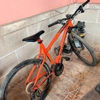 bicicletta 