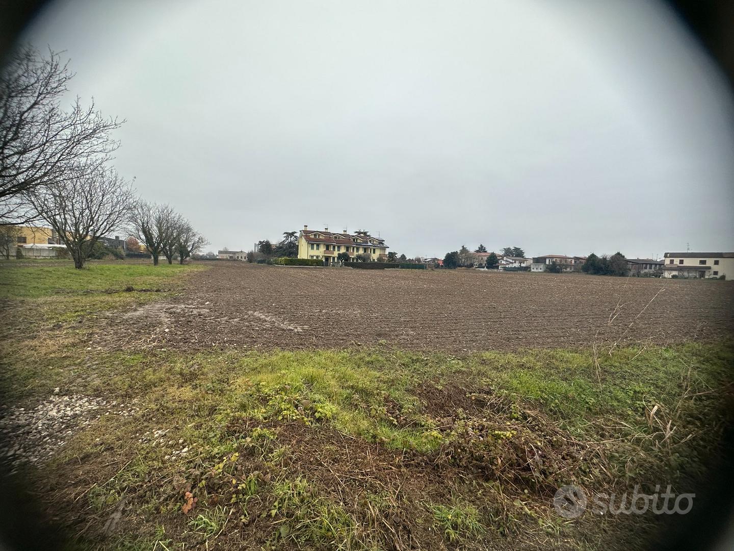 Terreno agricolo cartura cagnola - Vista 3