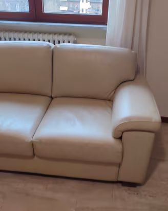 Divani in pelle